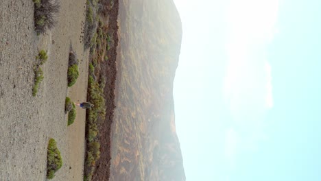 hombre caminando en el paisaje desértico del parque nacional del teide, vista vertical