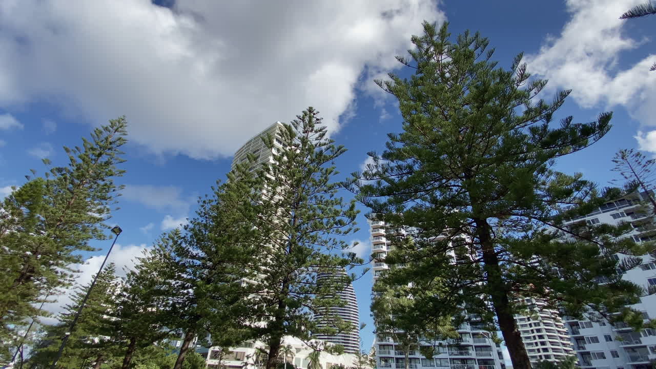 Clouds move through the sky, with high rise Hotels and Pine trees Gold Coast, Queensland, Australia