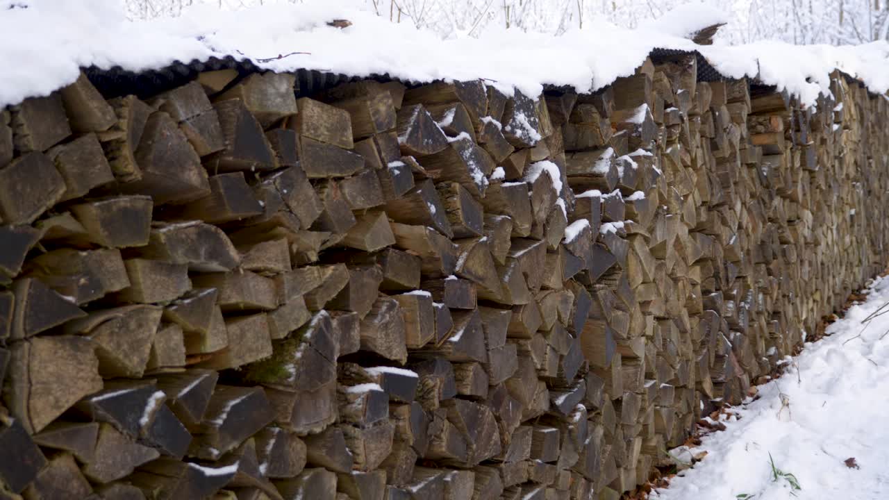 caminando junto a una enorme pila de leña cubierta de nieve en un bosque durante el invierno en baviera, alemania