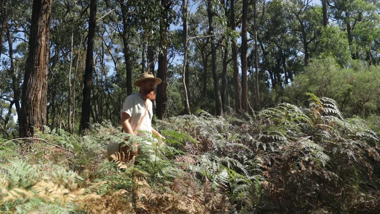 bushman australiano vestido como un swagman histórico caminando por el bosque