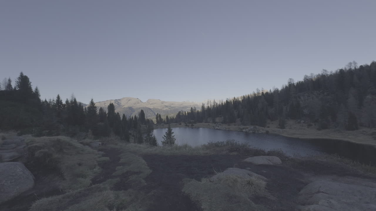 Mountain Lake in the Woods