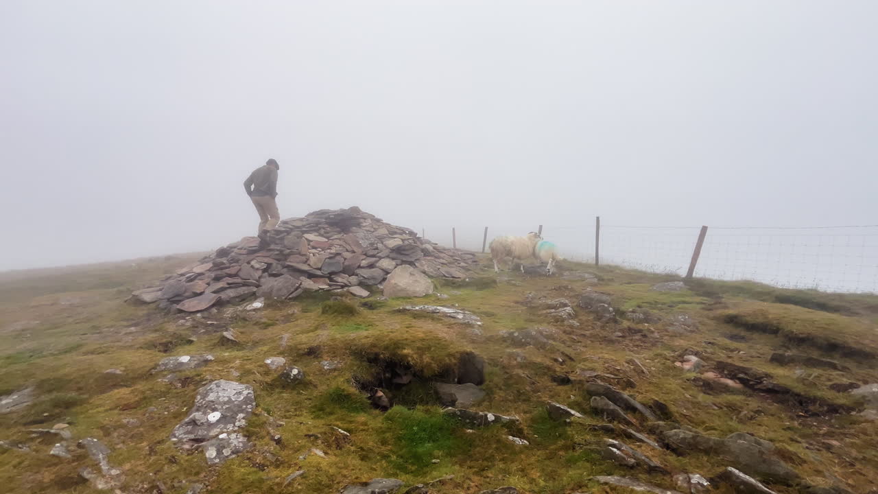 A young man climbing on a pile of rocks on a foggy environment in Conor Pass in Ireland with some sheep passing by