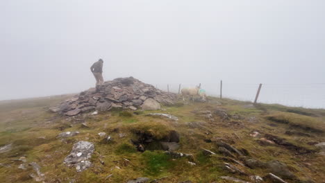 a young man climbing on a pile of rocks on a foggy environment in conor pass in ireland with some sheep passing by