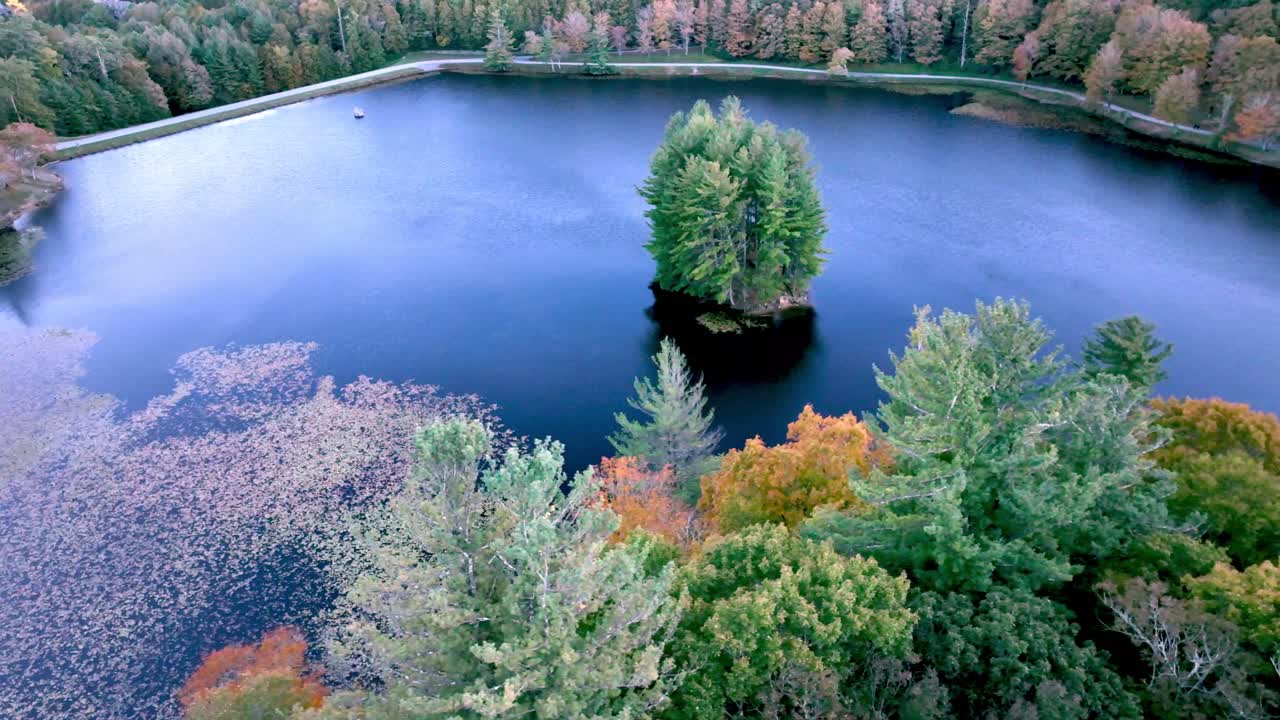 aerial orbit island within bass lake nc
