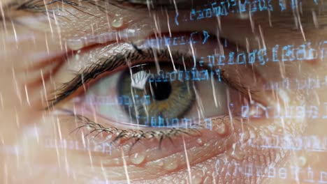 a close-up of an eye with dripping rain and streaming code: exploring the intersection of nature and technology in a distinctive visual representation