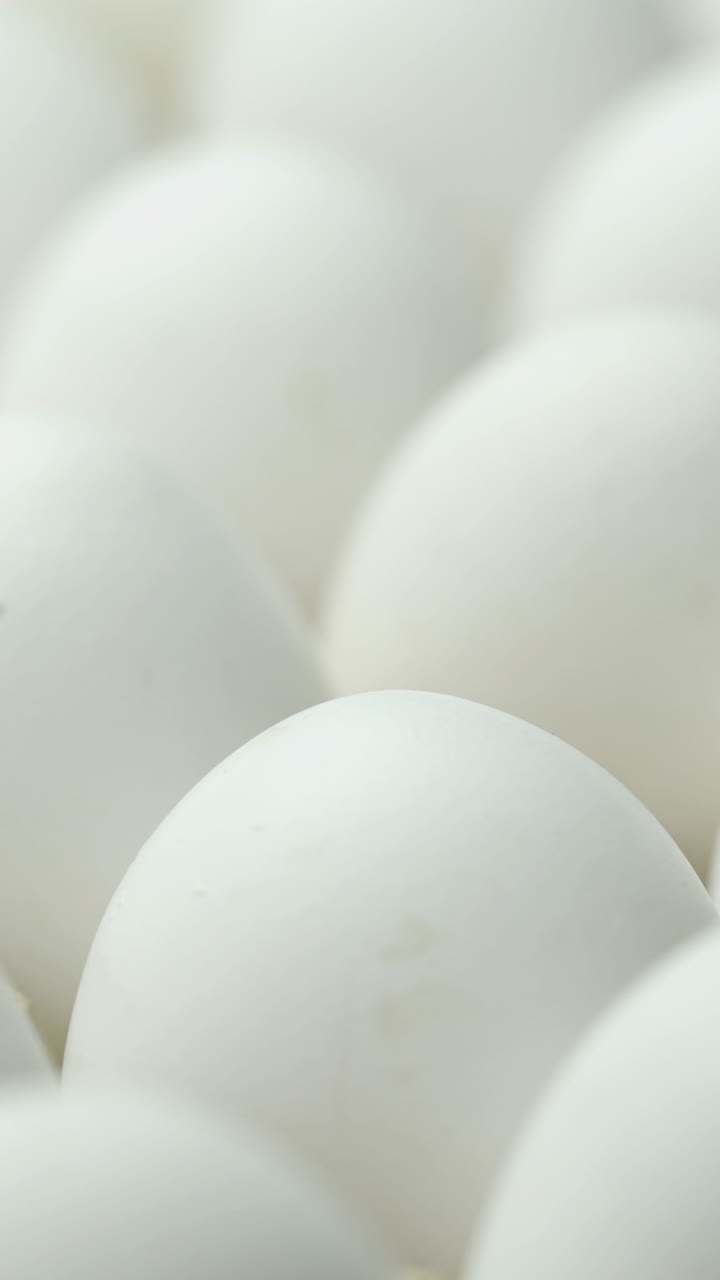 White chicken eggs in a cardboard box. Eggs in a paper tray. Vertical video