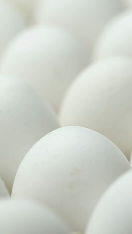 white chicken eggs in a cardboard box. eggs in a paper tray. vertical video