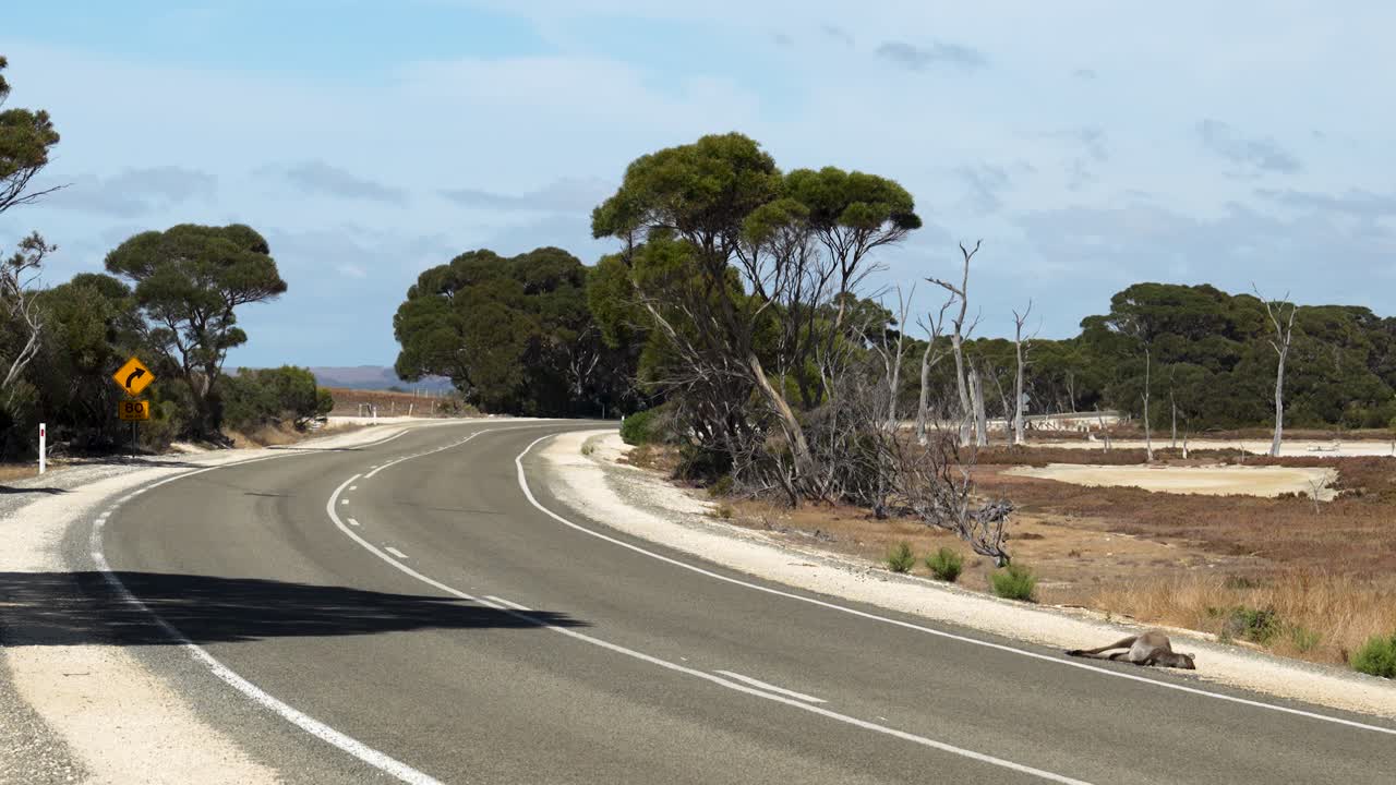 Wide shot of dead kangaroo on road along rural highway, Kangaroo Island, South Australia