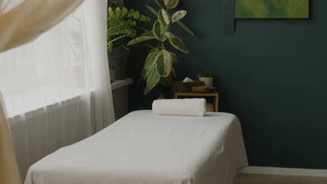 spa interior with massage table and plants