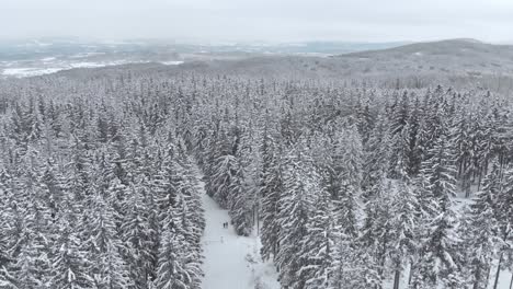 aerial view overlooking a natural trail with two silhouettes in distance, in middle of snow-covered trees and snowy forest with a valley behind, on a winter day - drone shot, following, tilt up