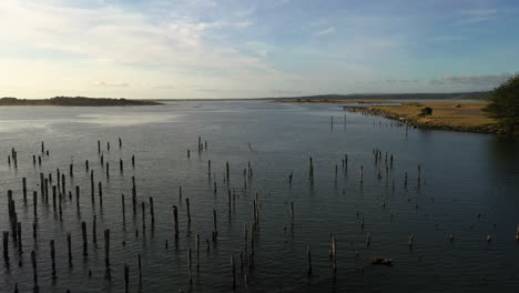 Old-Wooden-Pilings-Left-Standing-In-The-Coquille-River-In-Bandon,-Oregon---aerial-pullback