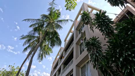 palm trees swaying near a modern apartment complex