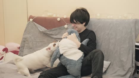 a girl at home with her dog, a cute lively jack russell terrier that playfully bites a shark plush