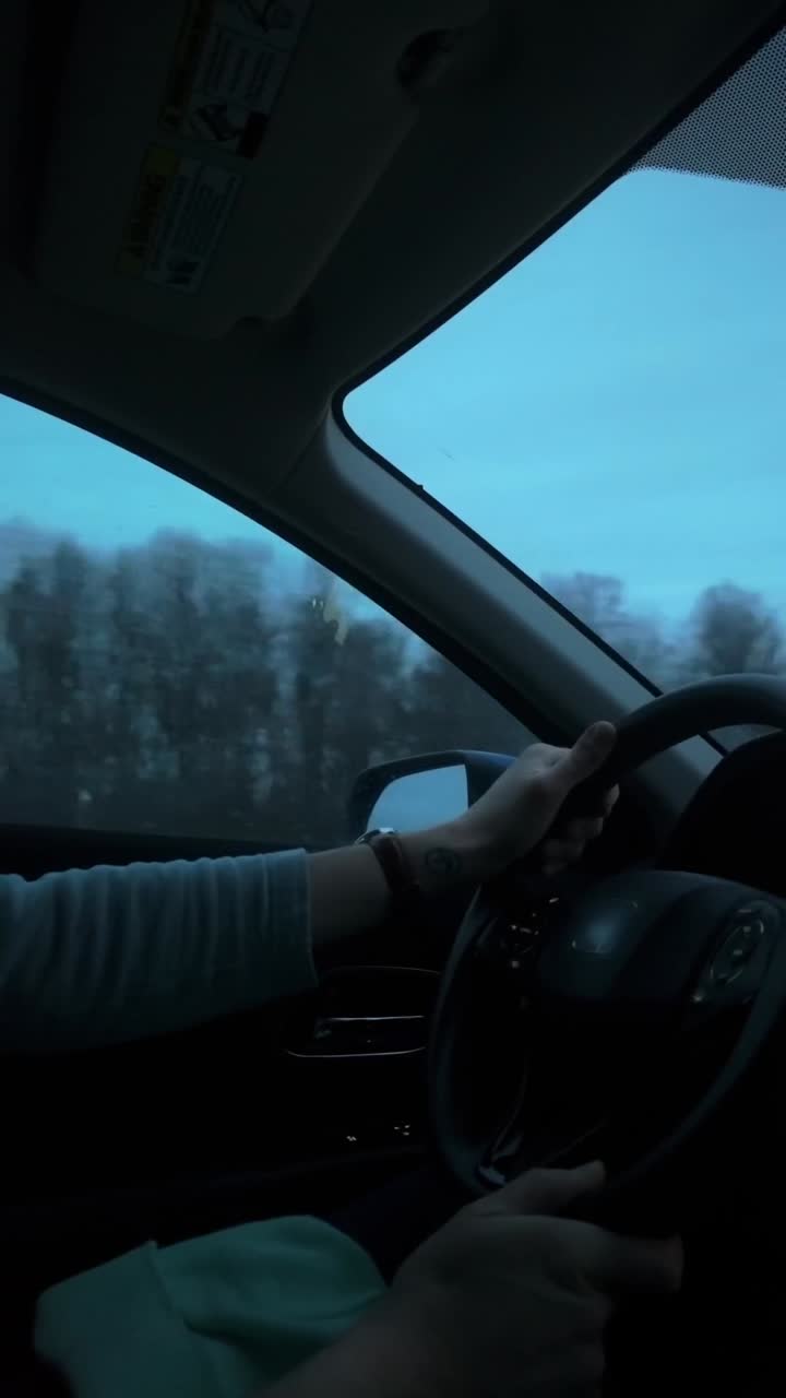 Un primo piano sul volante di un'auto mentre il conducente guida, con alberi invernali sullo sfondo.