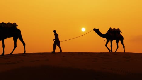 Kameltreiber,-Kameltreiber-Bei-Sonnenuntergang.-Thar-Wüste-Bei-Sonnenuntergang-Jaisalmer,-Rajasthan,-Indien.