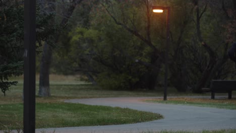 Mann-Rennt-In-Der-Abenddämmerung-Durch-Den-Park,-Um-Sich-Zu-Konditionieren