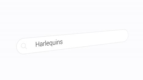 entering harlequins in the computer search engine