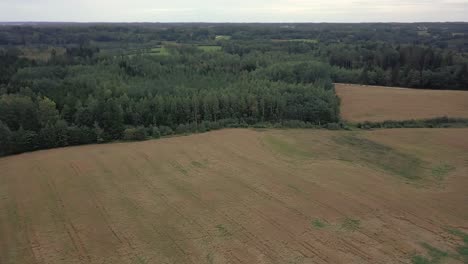 Vista-Aérea-De-Drones-En-Prados-De-Campo-Con-Bosque-En-El-Fondo