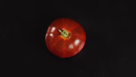 single red tomato