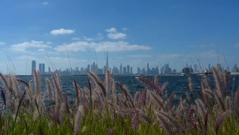 algo del horizonte de la ciudad de dubai desde el puerto de creek en un hermoso día soleado en los emiratos árabes unidos