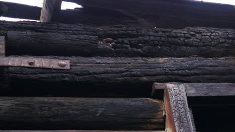 burnt wooden wall of an old structure