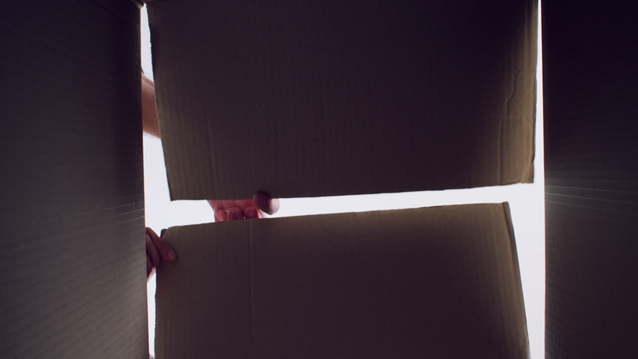 nos encantan las sorpresas.