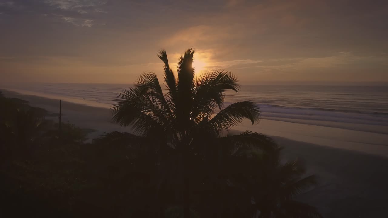 toma aérea de 4k de la playa del océano con palmeras y un sol impresionante en brasil