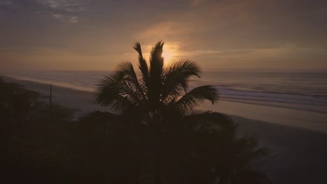 Toma-Aérea-4k-De-Apertura-De-La-Playa-Del-Océano-Con-Palmeras-Y-Sol-Impresionante-En-Brasil