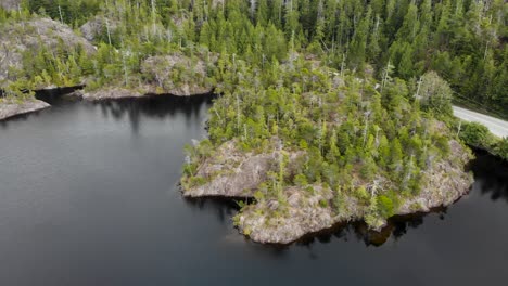 Kennedy-Lake,-Vancouver-Island,-British-Columbia---Scenic-View---Aerial-Shot