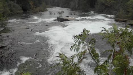 Ninfa-Cae-En-Aguas-Altas-Después-De-Las-Lluvias-De-Otoño