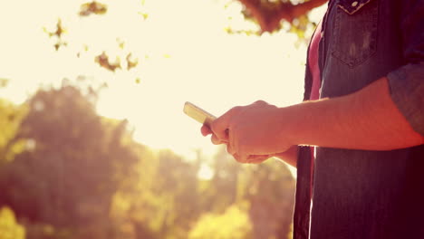 primer plano de un hombre usando su teléfono inteligente en el parque