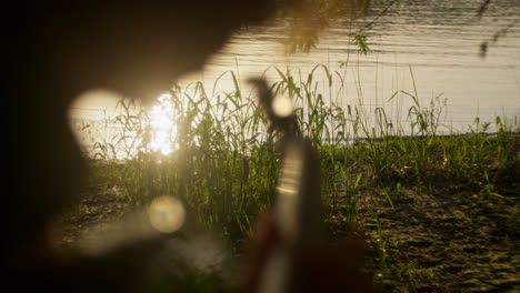 sunset over a riverbank with tall grass
