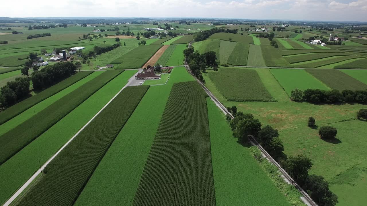 La telecamera cattura ampie vedute di grandi campi verdi e fattorie in Pennsylvania. Le colture crescono in file ordinate sotto un cielo limpido e sereno in una soleggiata giornata estiva. L'area appare vibrante e piena di vita