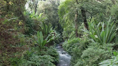 Drohne-über-Fluss-In-Michigan-Geschossen