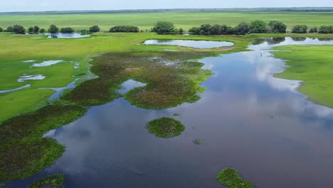 Aerial-shot-over-a-river-in-the-Venezuelan-plains