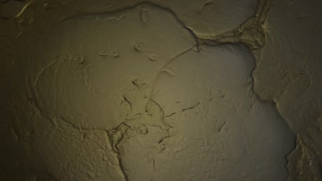 ¿no sería divertido simplemente tumbarse en este cálido charco dorado y divertirse en él?