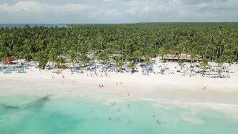 Saona-Island,-Dominican-Republic