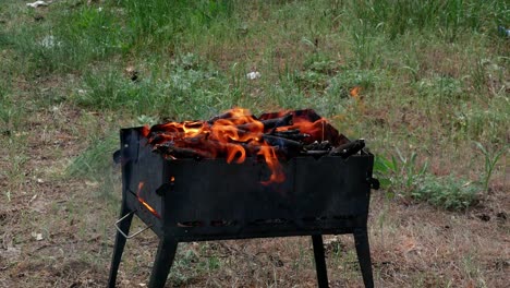 brazier barbecue grill in forest 4k