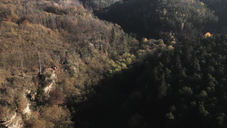 在kokorin地區的森林山谷的空中拍攝