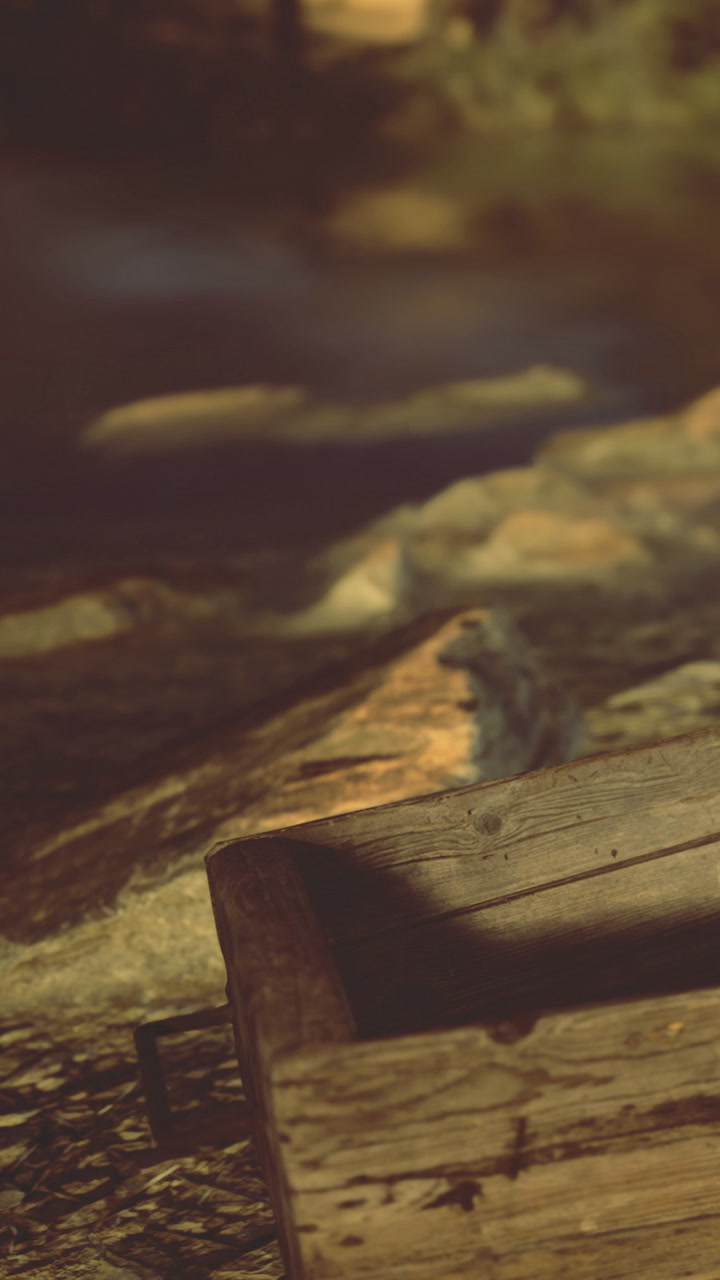 Wooden boat rests on water at dusk near riverbank with trees