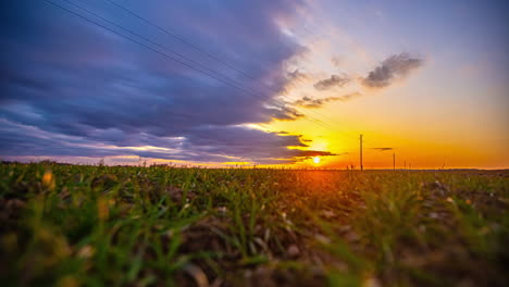 Panoramic-timelapse-of-a-wheat-field-at-sunset