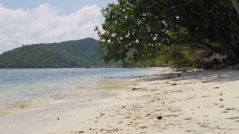 a tropical beach on kri island, raja ampat, indonesia, captured by a static camera. the blue sea gently laps against the white sandy shore, framed by the lush green leaves of overhanging trees.