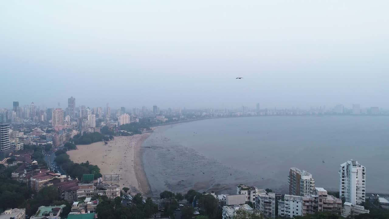 뭄바이 남부 봄베이 지역의 유명한 마린 드라이브 차우파티 해변 지점을 촬영한 영화 드론 샷으로 공중정원 언덕과 숲을 천천히 부드러운 동작으로 내려다보고 있습니다.