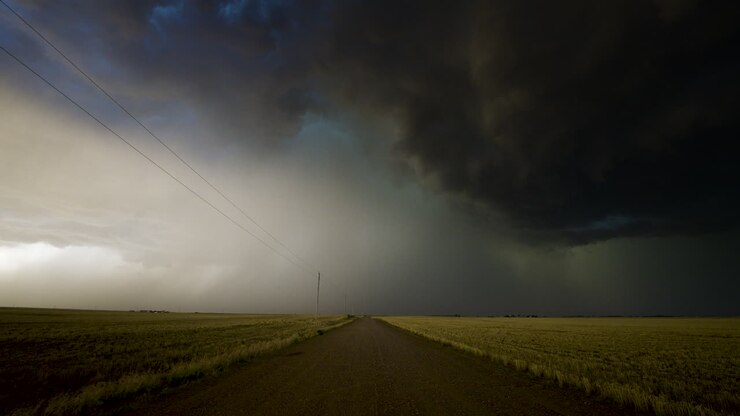 Stormfuld landevej