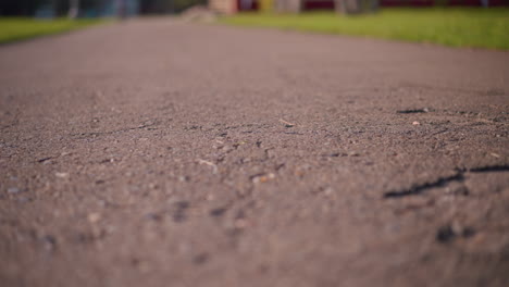 cracked asphalt road surface in warm sunlight, showing detailed texture and imperfections in pavement, close-up emphasizes rough, weathered road with blurred grassy background