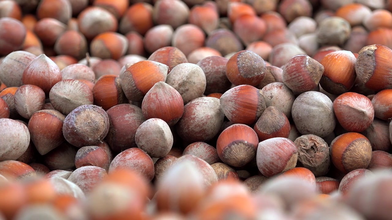 Close-up of a Pile of Fresh Raw Hazelnuts