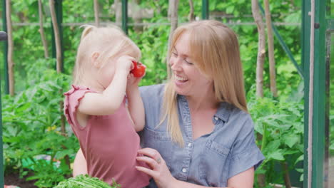 mother with daughter making funny face with home grown tomatoes in greenhouse