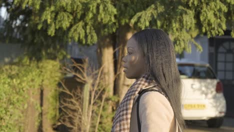 confident smiling black businesswoman walking alone going down street with green bushes, houses and cars on clear sunny day