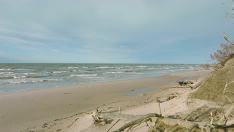 Aerial-establishing-view-of-Baltic-sea-coast,-sunny-day,-white-sand-seashore-dunes-damaged-by-waves,-pine-tree-forest,-coastal-erosion,-climate-changes,-wide-drone-shot-moving-forward-low