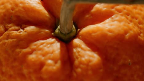 primer plano extremo de una naranja giratoria que se detiene en el tallo